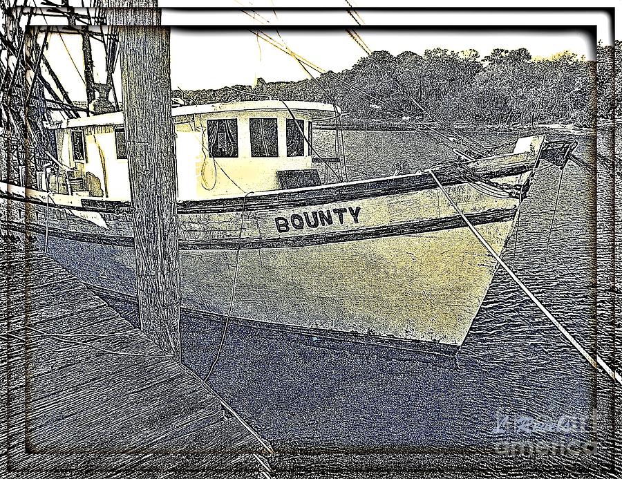 The Bounty Photograph by Leslie Revels