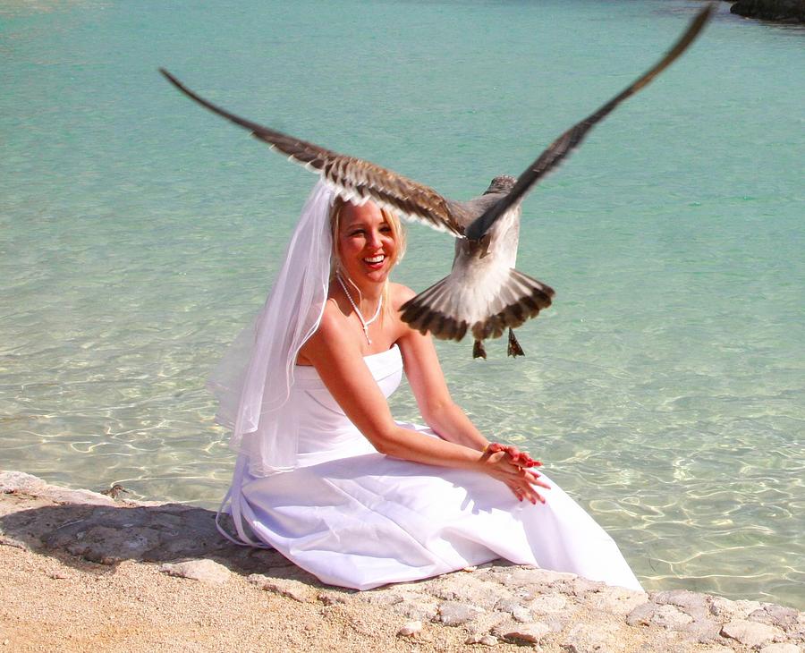The Bride and the Sea Gull Digital Art by Carrie OBrien Sibley