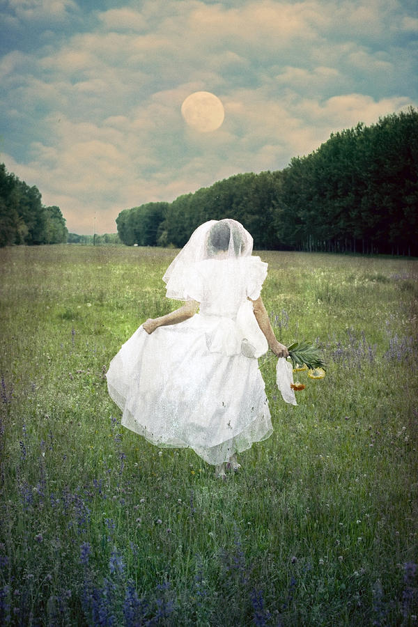 Flower Photograph - The Bride by Joana Kruse