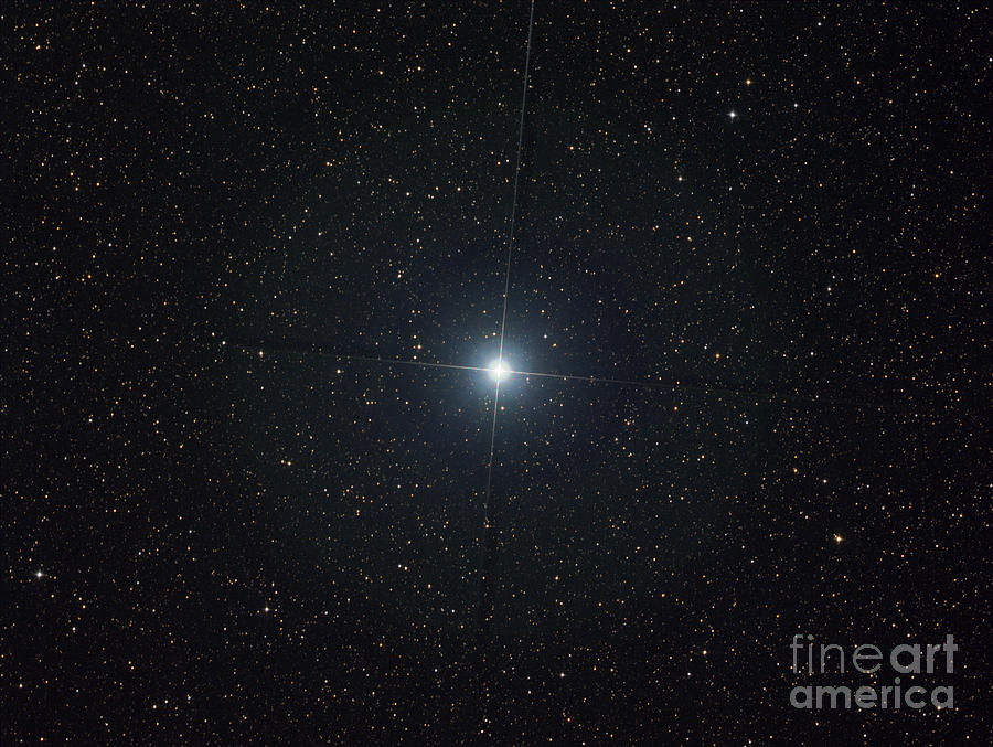 Space Photograph - The Bright Star Altair by Filipe Alves