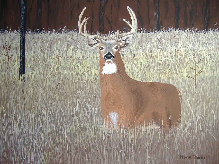 Deer Painting - The Buck Stops Here by Norm Starks