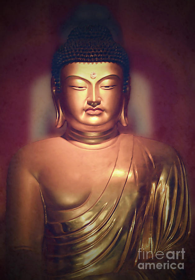 The Buddha Photograph by Paul Topp