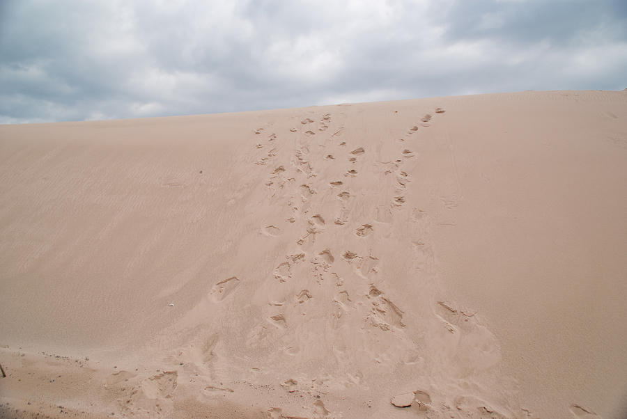 The Buffalo Dune Photograph by Guy Whiteley