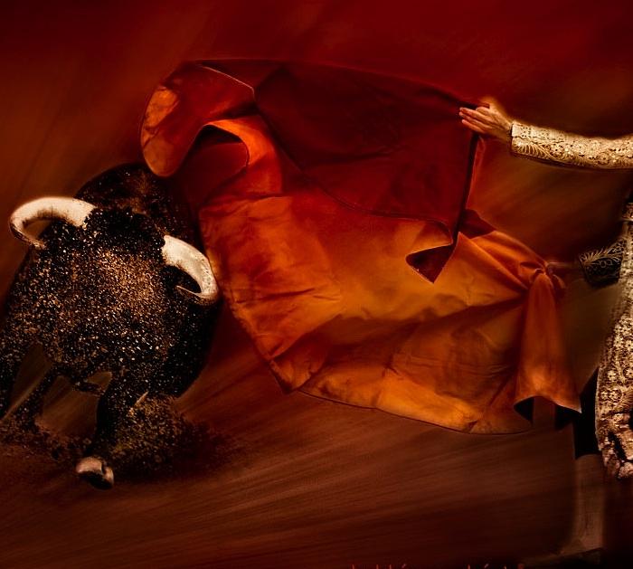 The bullfight Photograph by Bobbie Goodrich