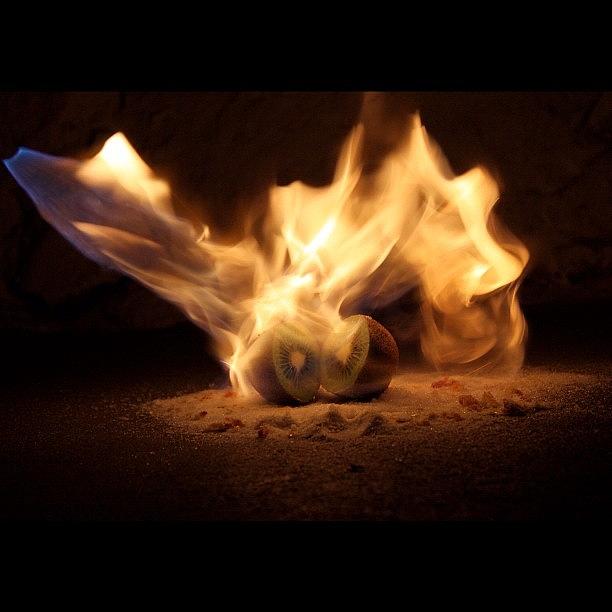Wg Photograph - The Burning Kiwi by Manuel Gegenhuber