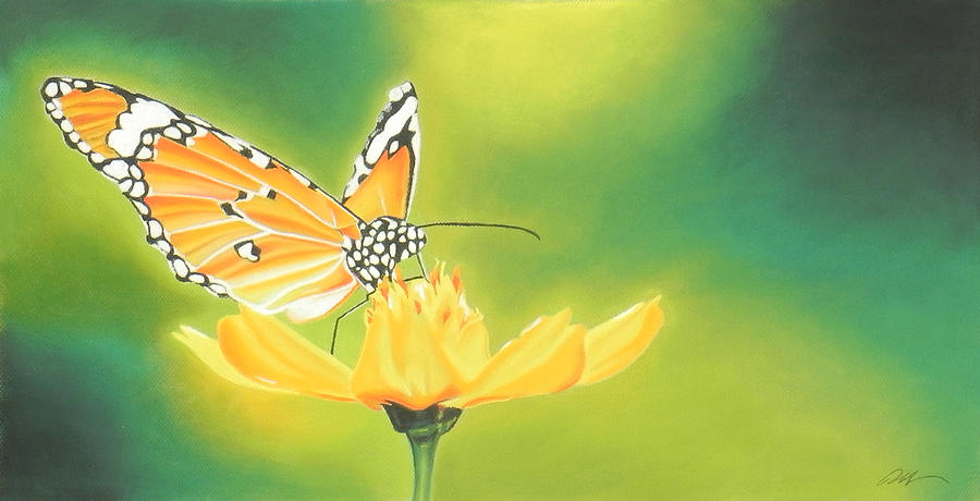 Butterfly Painting - The Butterfly by Paul Miners