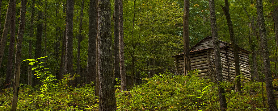 The Cabin Photograph by Ryan Heffron