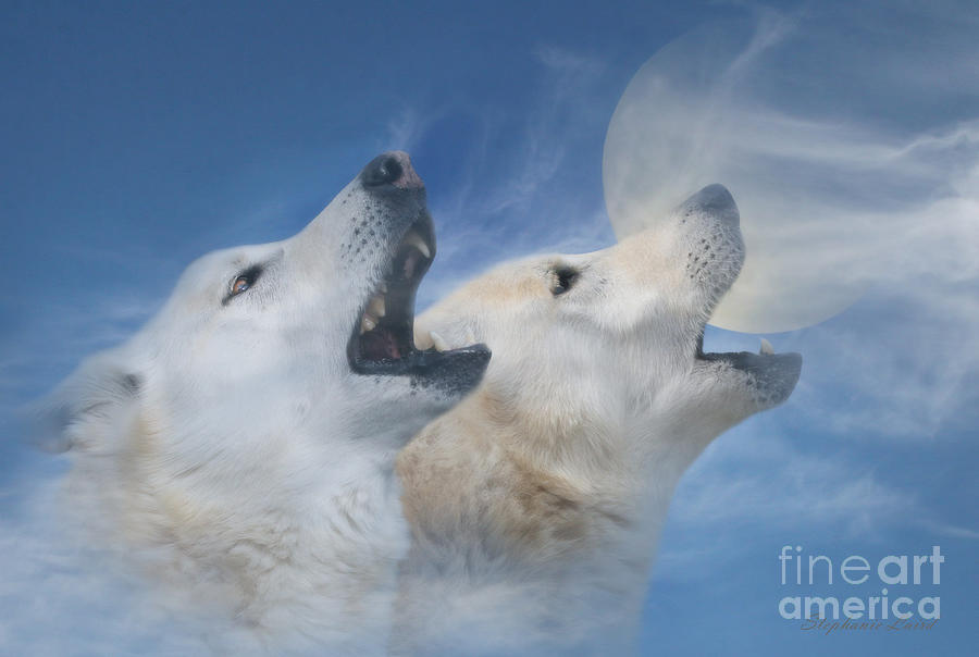 Wolves Howling at the Moon Surreal Fantasy Photograph by Stephanie Laird