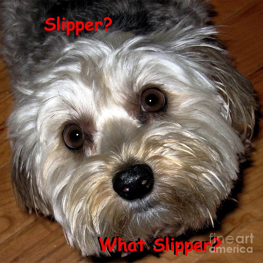 The Case of the Missing Slipper Digital Art by Dale   Ford
