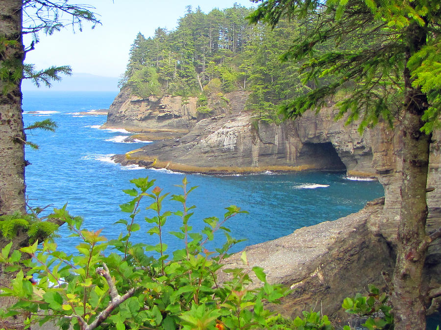 The Caves of Cape Flattery  Photograph by Tikvahs Hope