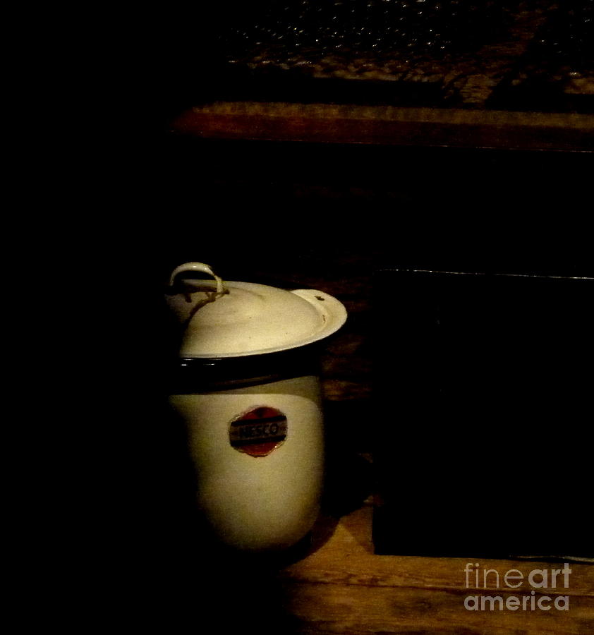 The chamber pot Photograph by Newel Hunter