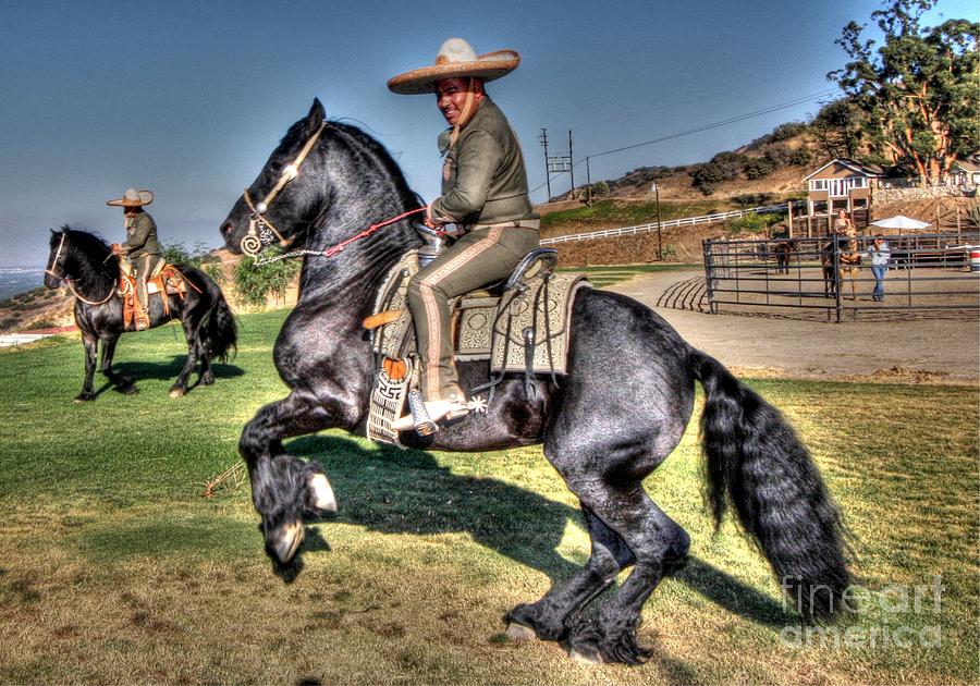mexican dancing horses charro utube