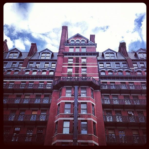 the Chelsea. Photograph by Gracie Noodlestein