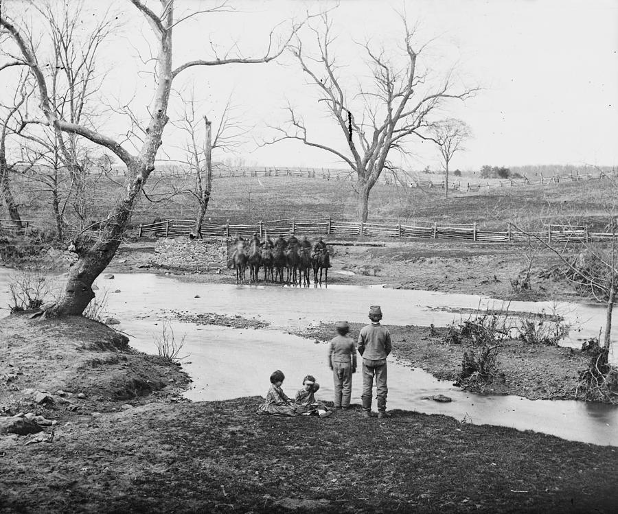 Horse Photograph - The Civil War, Bull Run, Virginia by Everett