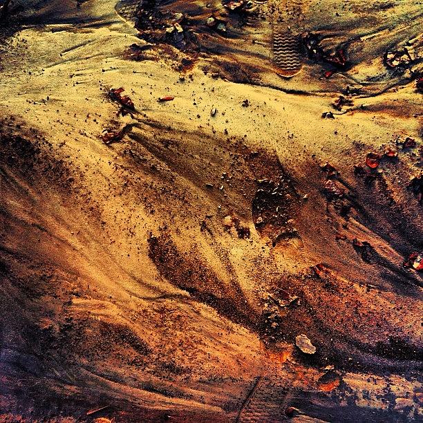 Nature Photograph - The Clay Dirt On Our Hike. The Colors by Cat Noone