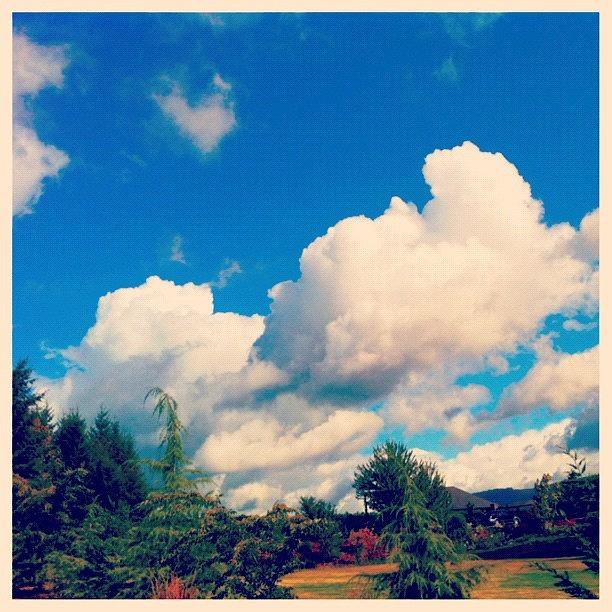 The Clouds In My Neighborhood Photograph by Tarah Labossiere