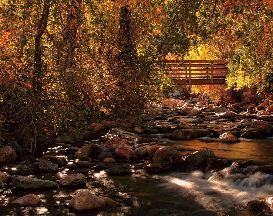 Autumn Photograph - The Color Of Autumn by Gene Praag Autumn Photograph - The Color Of Autumn by Gene Praag