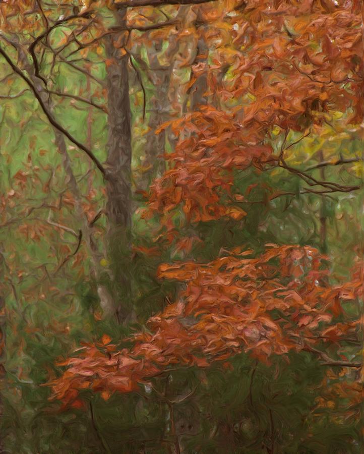 Nature Painting - The Color Of Fall by Steven Richardson