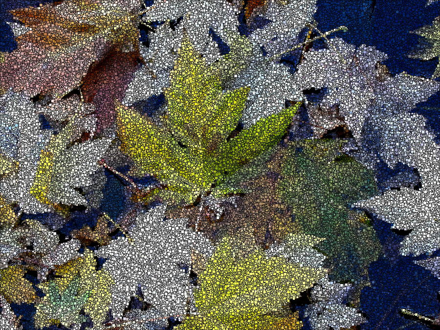 The Color Of Fall Digital Art by Tim Allen