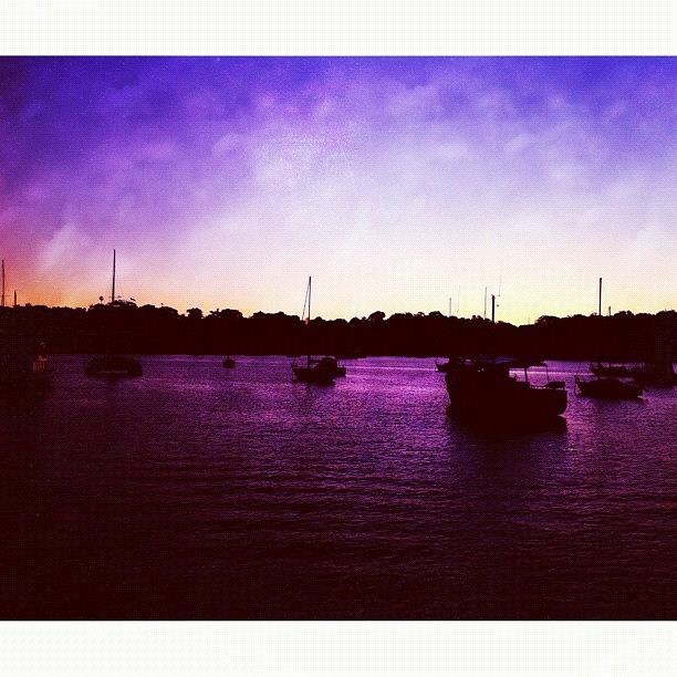 Sunset Photograph - The Colour Purple #iphoneography by Kendall Saint