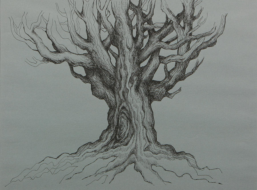 Tree Drawing - The Complexities of Life by Holly Stone