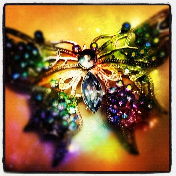 Butterfly Photograph - The Coolest #broach Ever! by Alicia Greene