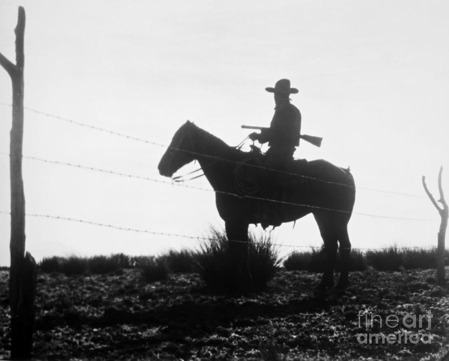 The Cowboy, 1954 Photograph by Granger