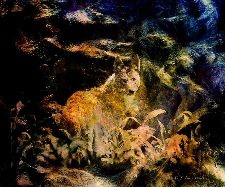 The Coyote Stare  Digital Art by J Larry Walker