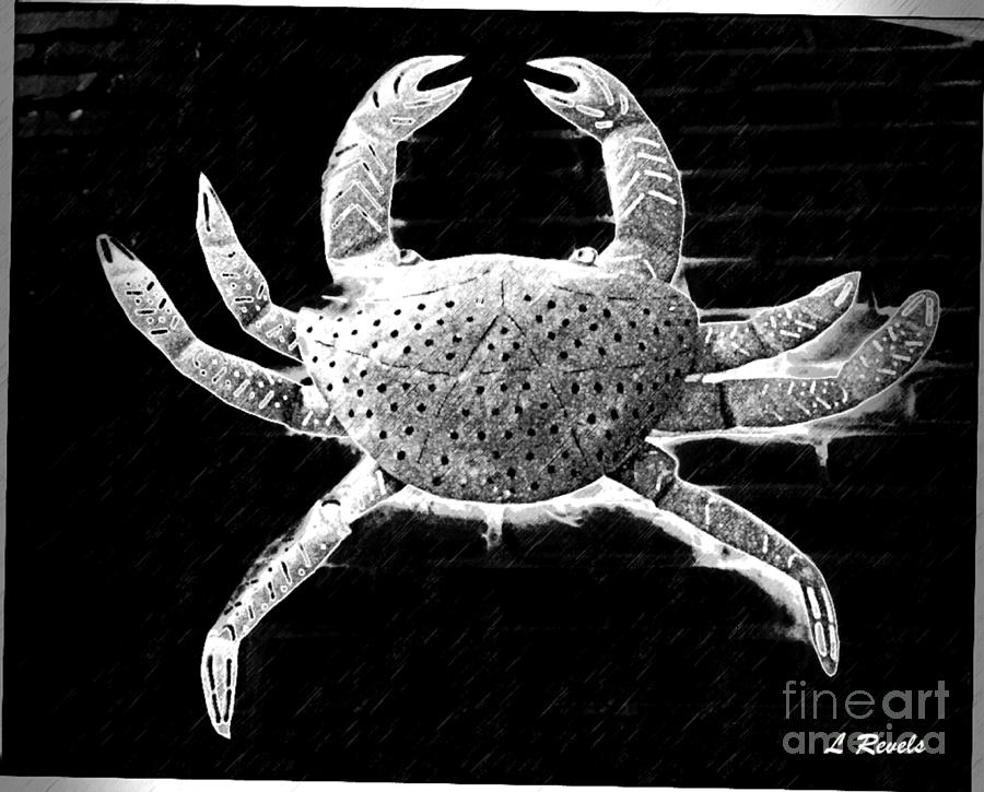The Crab Photograph by Leslie Revels