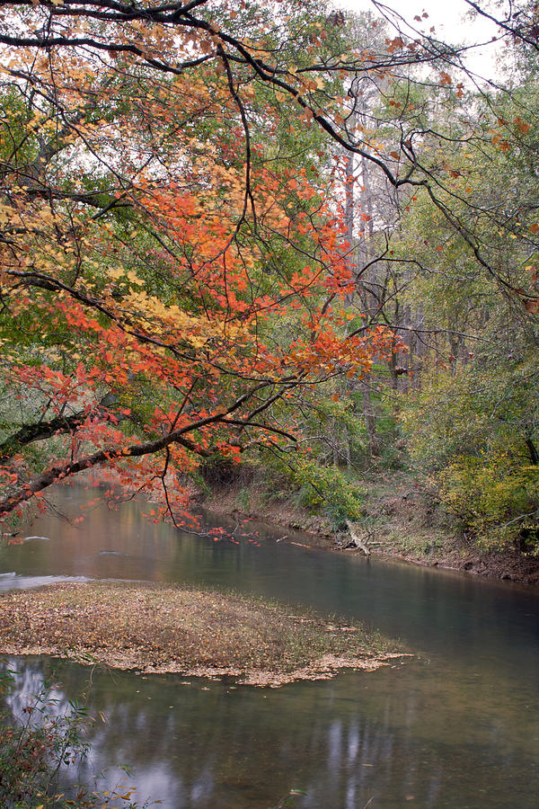 The Creek Photograph by David Troxel