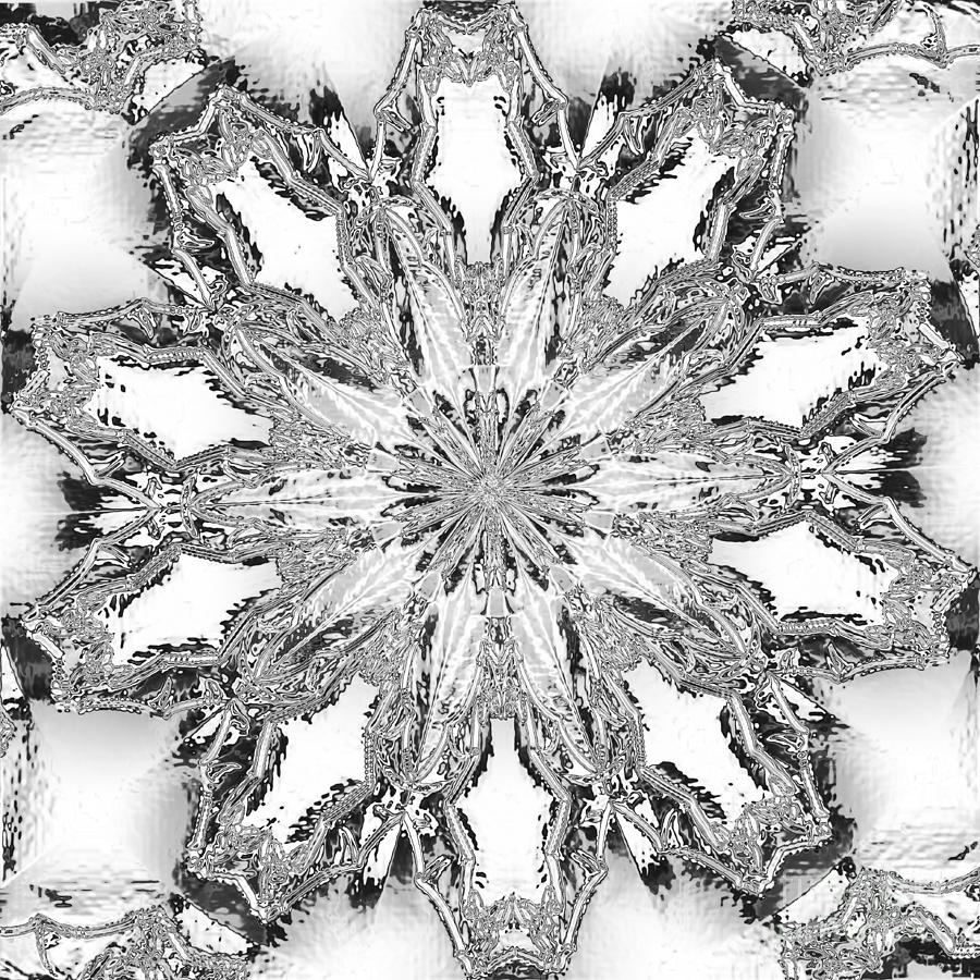 The Crystal Snow Flake Photograph by Donna Brown