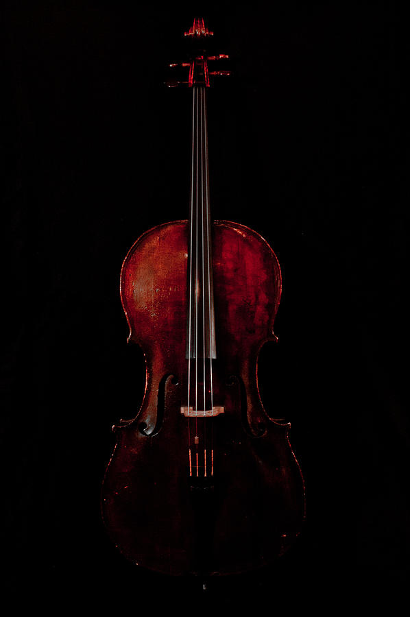 Musical Instrument Photograph - The Curve of Her - Color by Sam Hymas