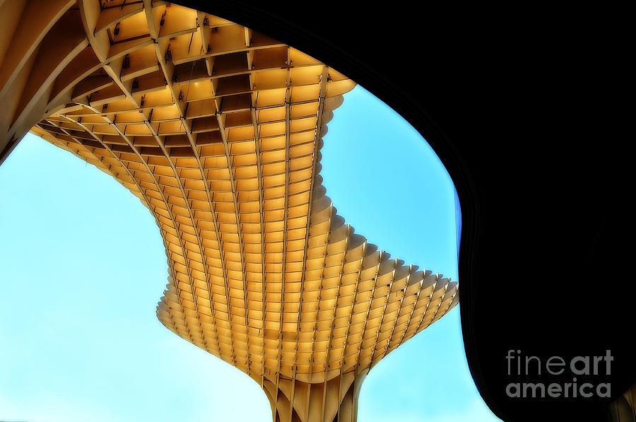 The Curves of the Metropol Parasol Photograph by Mary Machare