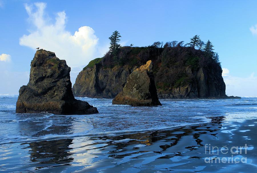 Olympic National Park Photograph - The Daily Flood by Adam Jewell