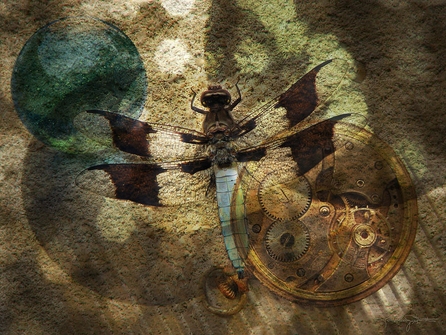 The Dharma Of The Dragonfly Photograph by Karen Casey-Smith
