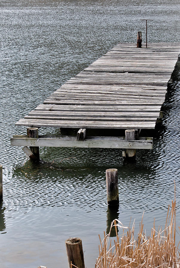 Nature Photograph - The Dock by Swift Family