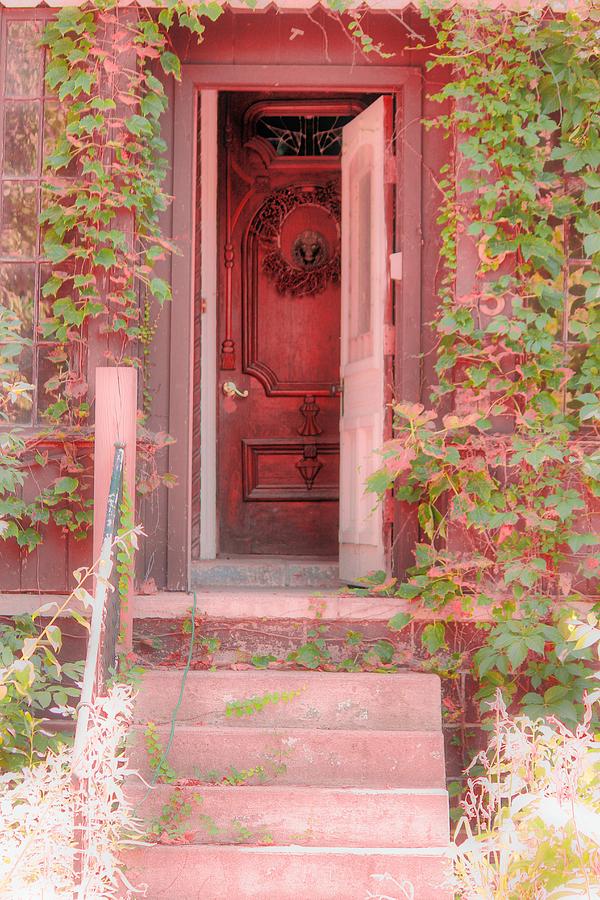 Antique Door Photograph - The Door by Angie Phillips Antique Door Photograph - The Door by Angie Phillips