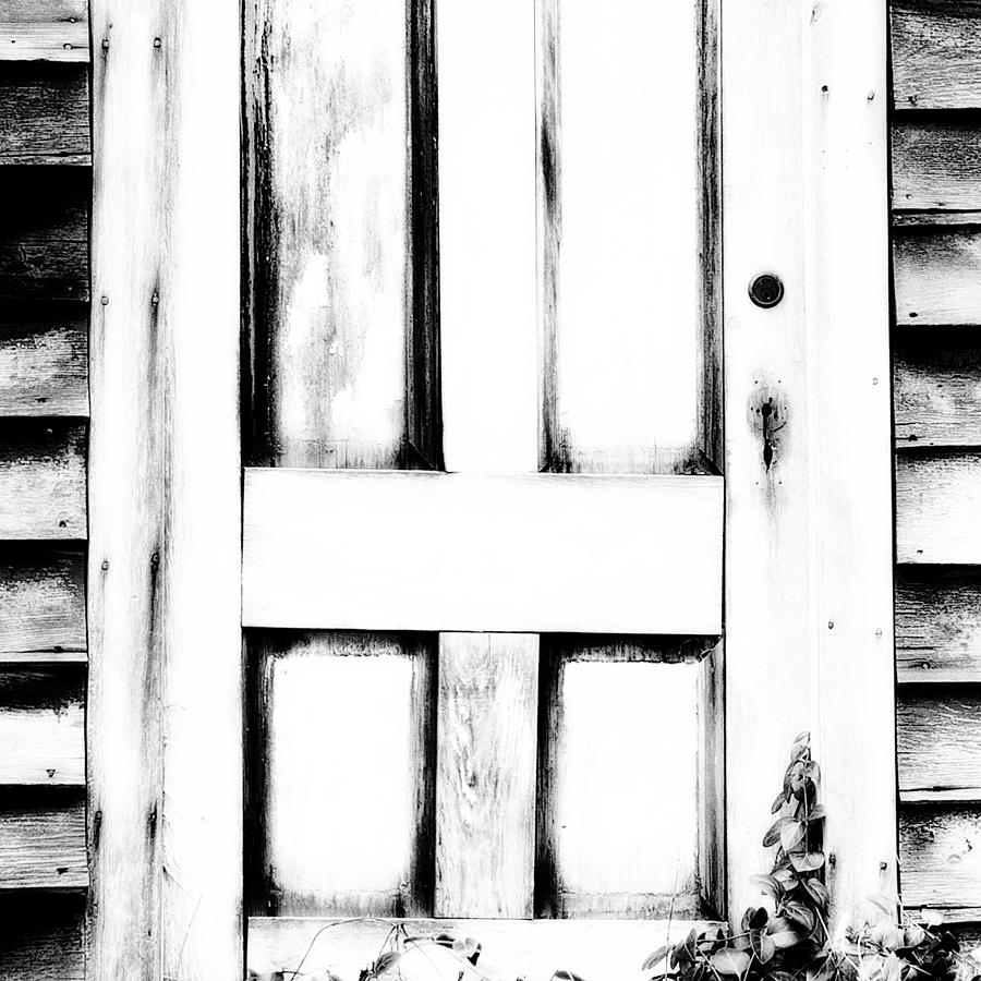 The Door Photograph by Bonnie Bruno