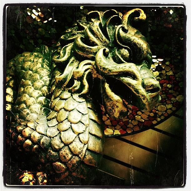 Hollywood Photograph - The Dragon by Torgeir Ensrud