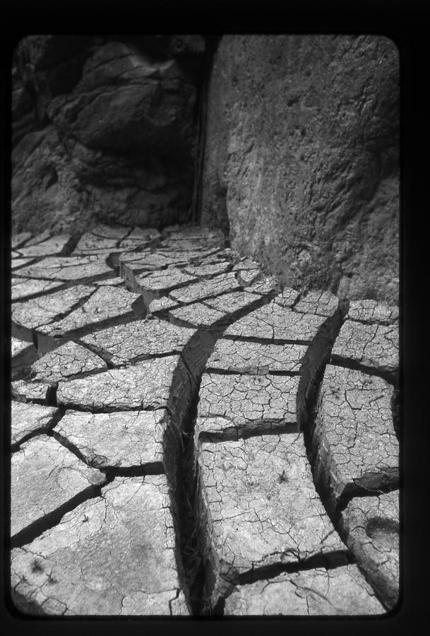 The Dry Season Photograph by Greg Kopriva