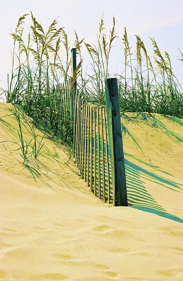 The Dune fence Photograph by John Handfield