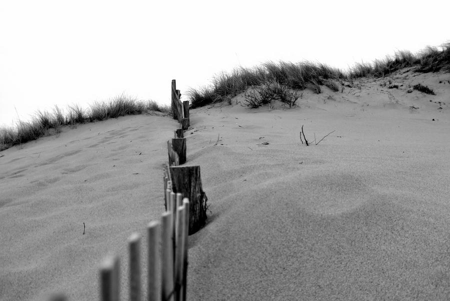 The Dune Photograph by Marysue Ryan