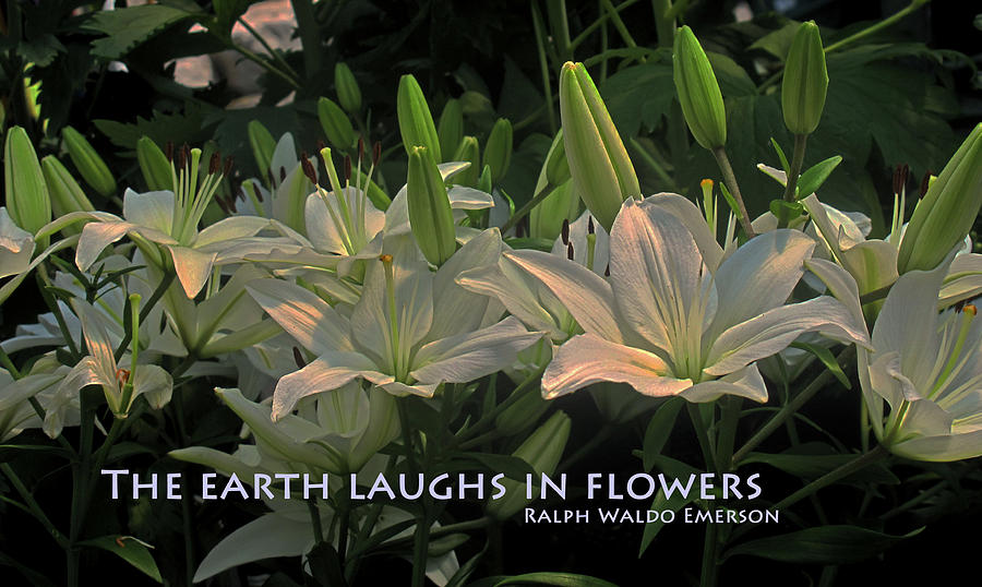 The Earth Laughs Photograph by Ian  MacDonald