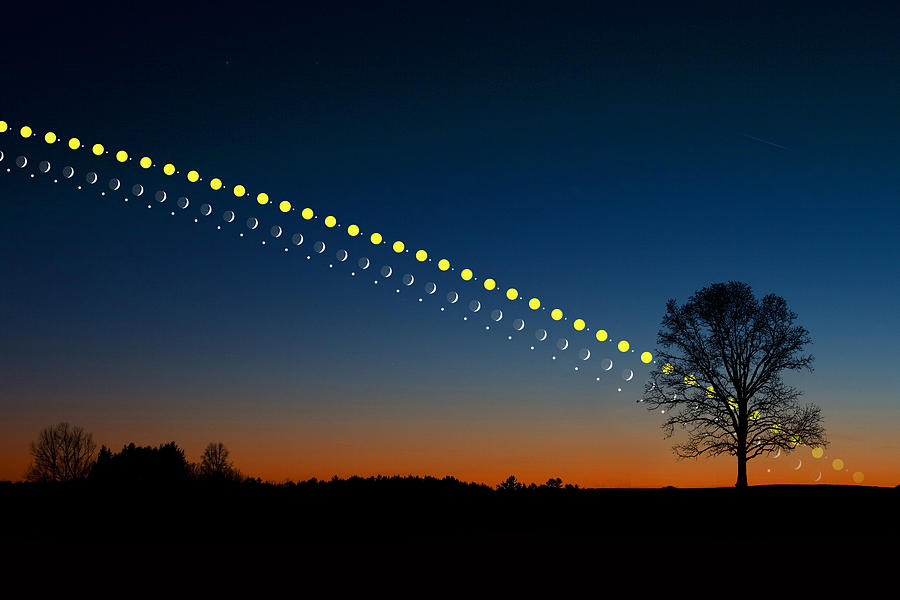 The Ecliptic Photograph by Larry Landolfi