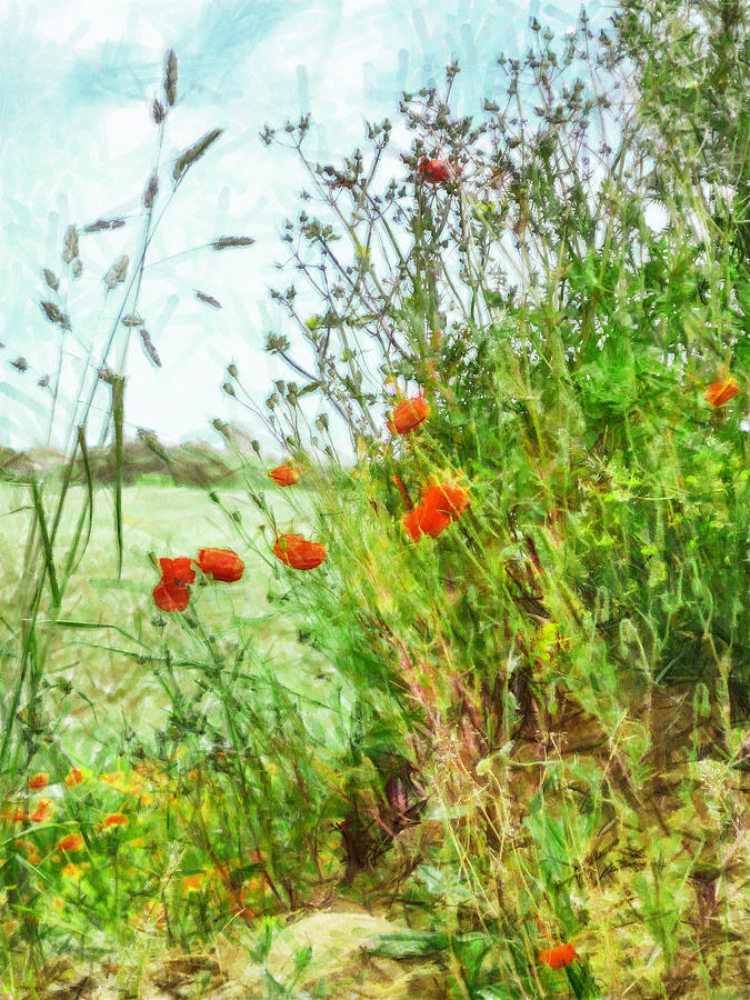 The Edge of the Field Digital Art by Steve Taylor