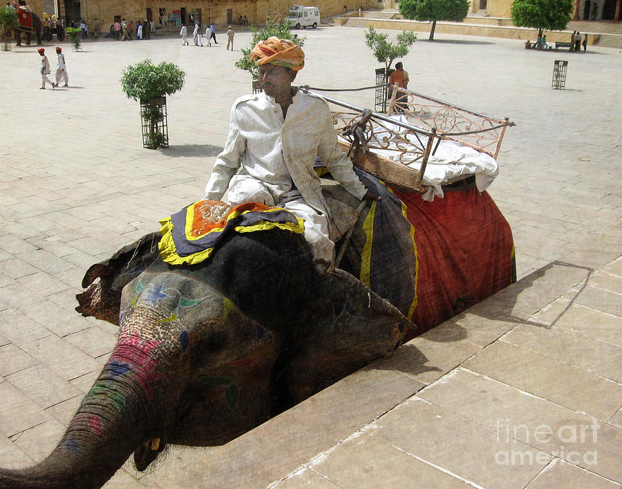 The Elephant Jockey of India Photograph by Paul Ward