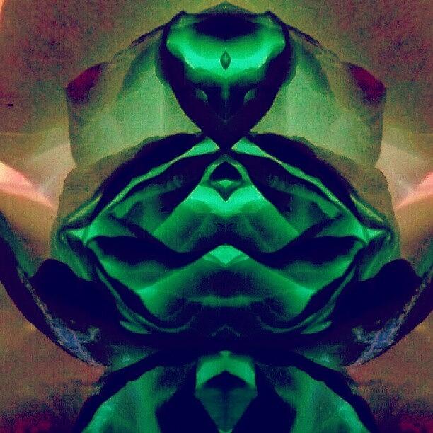 Abstract Photograph - The Emerald Queen - Gem Colored by Marianne Dow