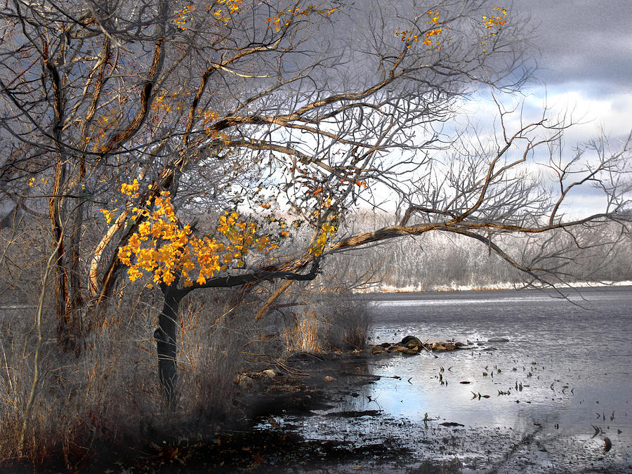 The End of Autumn Photograph by Viola El Pixels