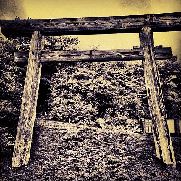 Architecture Photograph - The Entrance Of One Of The Hiking by Julianna Rivera-Perruccio