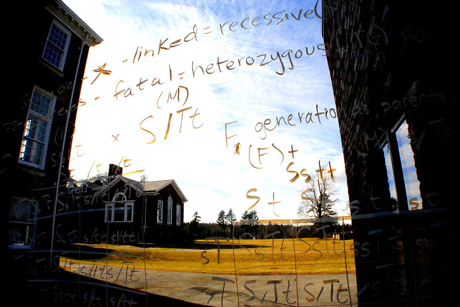The equation Photograph by Marysue Ryan